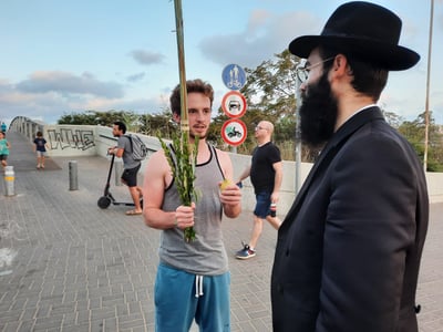 כל הארץ לולב: תיעוד מרגש מהנענועים של עמך בית ישראל