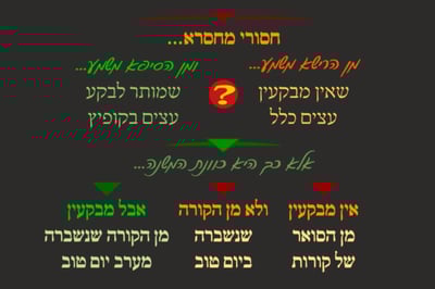 ביצה ל"א • סיכום והמחשה של הדף היומי