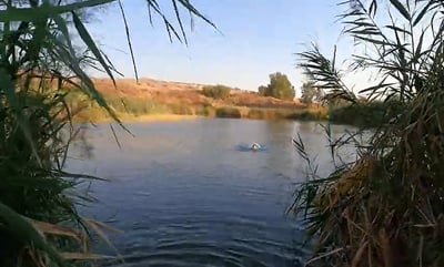 טיול לבין הזמנים: אגם דליות ליד הכנרת