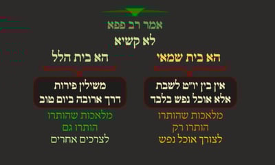 ביצה ל"ז • סיכום והמחשה של הדף היומי