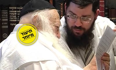 שו"ת בהלכות סעודה עם מרן הגר"ח קנייבסקי • צפו