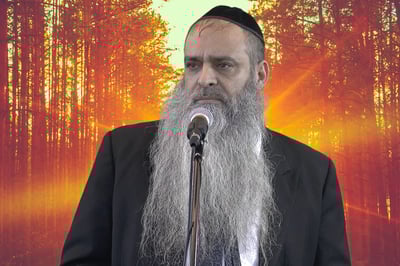 הרב רפאל זר בפינה לפרשת תולדות • צפו