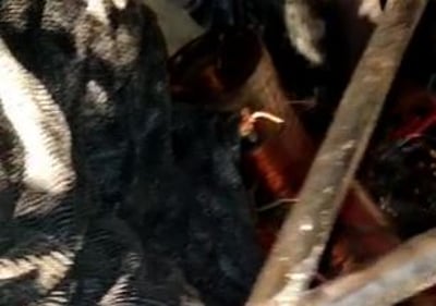 השנאים שנתפסו על חם