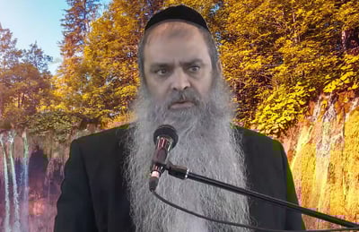 הרב רפאל זר בפינה לפרשת מקץ • צפו
