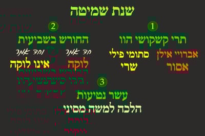 מועד קטן ג' • סיכום והמחשה של הדף היומי