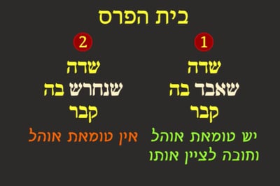מועד קטן ה' • סיכום והמחשה של הדף היומי