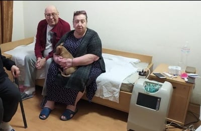 הפליטים בישיבה החב"דית