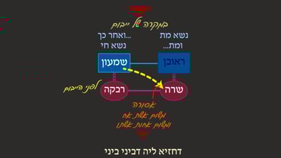 יבמות ח' • סיכום והמחשה של הדף היומי