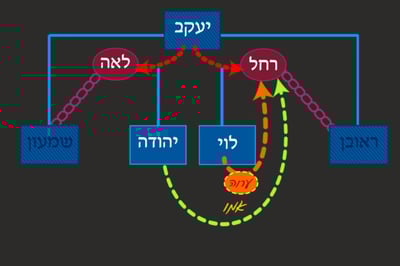 יבמות י' • סיכום והמחשה של הדף היומי
