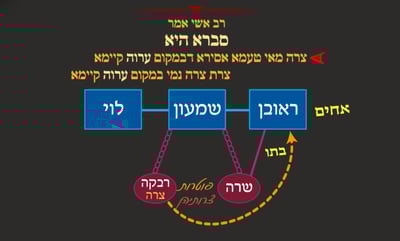 יבמות י"ג • סיכום והמחשה של הדף היומי
