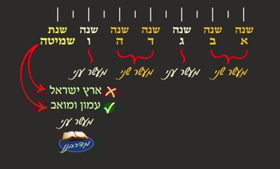 יבמות ט"ז • סיכום והמחשה של הדף היומי