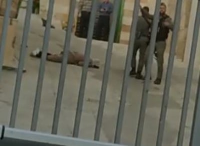 המחבלת במערת המכפלה