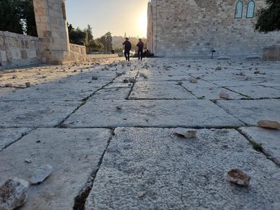 הר הבית זרוע אבנים של הפורעים הערבים