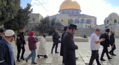 יהודים הולכים ברחבת הר הבית, הבוקר