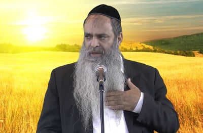 הרב רפאל זר בפינה לפרשת בהר • צפו