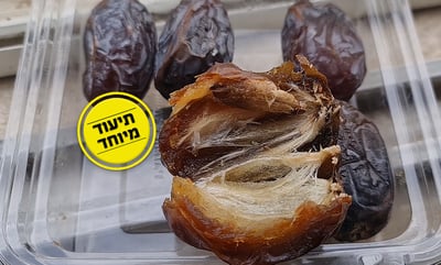 מה גילה מומחה הכשרות ב... תמרים? • צפו