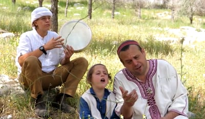 'בוימלטיש' בביצוע חדש: "למולדת שובי רוני"