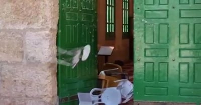 ההתפרעויות בהר הבית