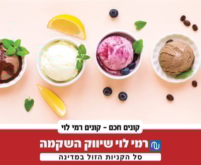 קיץ ברמי לוי