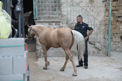 פינוי החווה