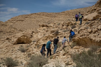 מסלול הליכה | ארכיון