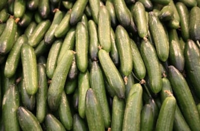 רק ירק 'תמים'? הנה 8 דברים שלא ידעתם על מלפפון