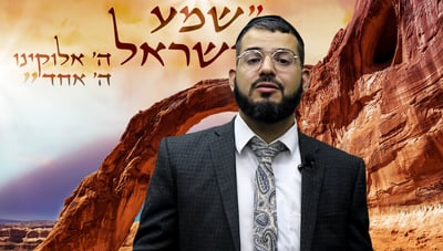 הרב ישראל לורי על פרשת דברים; צפו