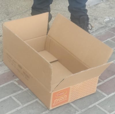 הקרטון שבו נמצא התינוק