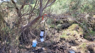 לכידת יתושים במלכודות מאזור הנעמן