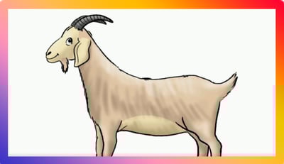 כך מציירים 'עז' • לומדים לצייר בכיכר קידס