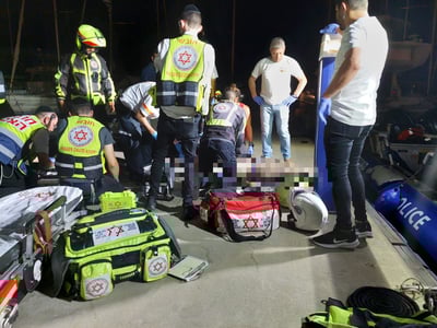 הכוחות בזירה