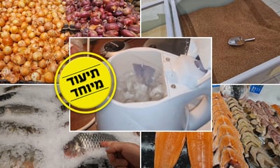 הרב דורפמן מסביר: מה אפשר לאכול בחו"ל?