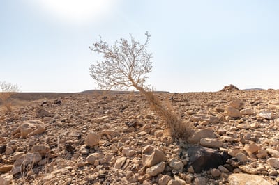 תחזית מזג האוויר: תורגש הקלה בעומס החום