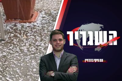 השגריר
