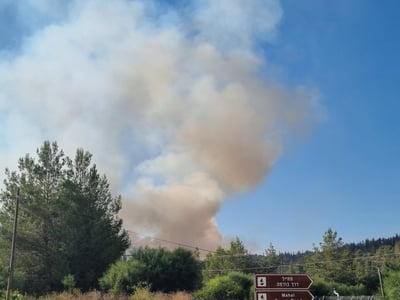 השריפה בהרי ירושלים