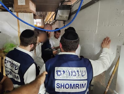 תושב אלעד גנב כמות של ארבעת המינים ומכר באיצקוביץ