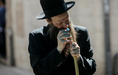 הלכה למעשה: כל הלכות סוכה וארבעת המינים • צפו