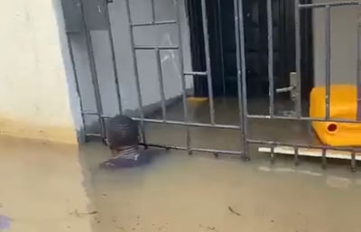 גשם קיצוני בניגריה: 500 נהרגו, מיליון וחצי איבדו את ביתם