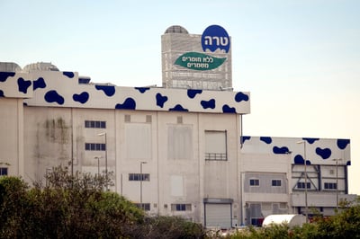 טרה