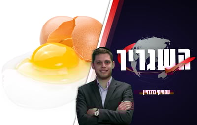 השגריר