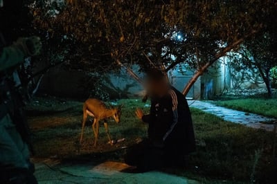 פלסטיני חשוד בציד לא-חוקי נתפס עם חיות בר מוגנות