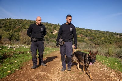 חיפושים במירון, ארכיון