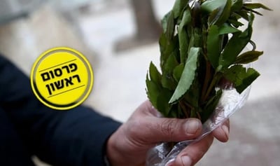צמח הגת