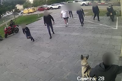 חברי הכנופייה מג'לג'וליה היכו את הקורבן וכלבו | תיעוד מחריד
