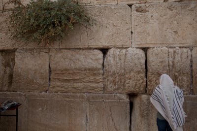 ההלכות וההנהגות לצום עשרה בטבת