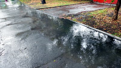 התחזית: גשם מקומי צפוי לרדת ברוב אזורי הארץ