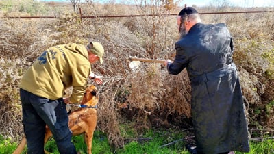 "באזור ספציפי"; מבצע חיפושים נוסף אחרי מוישי קליינרמן
