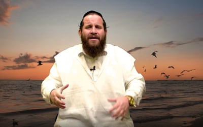 סיפור מרתק וחינוכי לילדים בהגשת המשפיע הרב אהרלה זלצמן