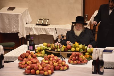 האדמו"ר מספינקא בעריכת שולחנו