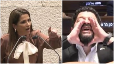 אלמוג כהן ומירב בן ארי במליאה